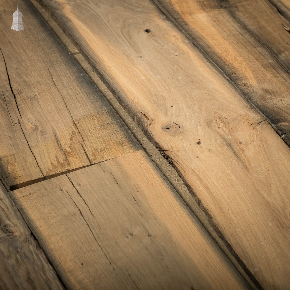 Bog Oak Boards, Batch of 5.9 Square Metres