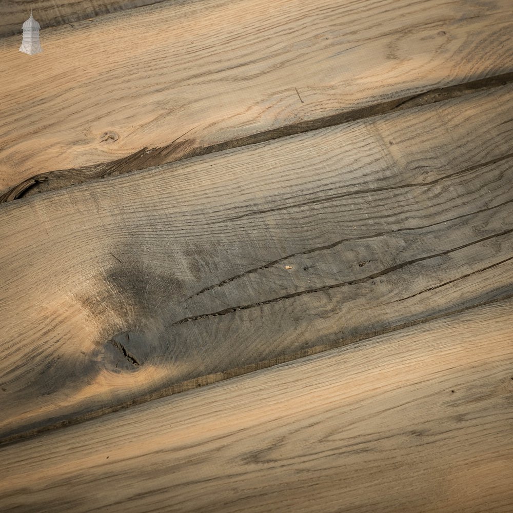 Bog Oak Boards, Batch of 5.9 Square Metres