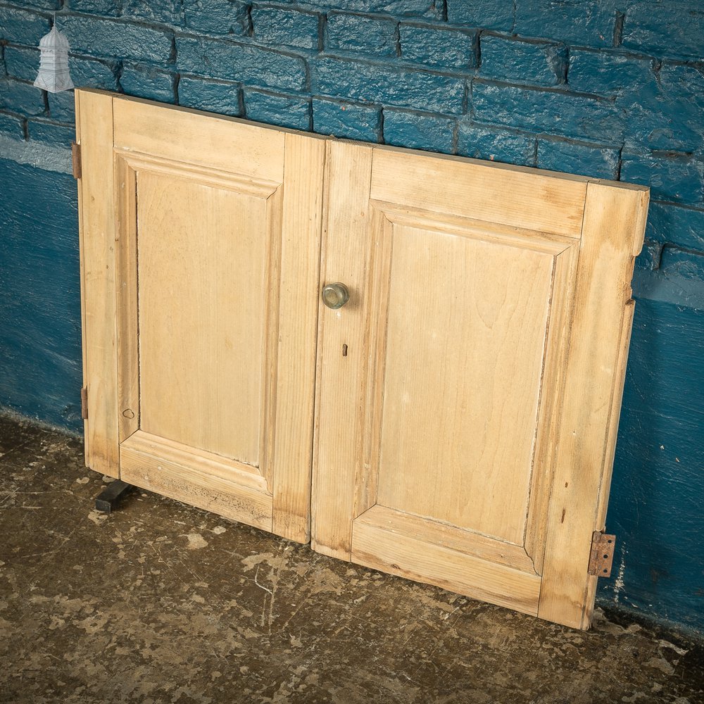 Pair of Small 19th C Stripped Pine Cupboard Doors with Moulded Panels & Beaded Hinge Rails