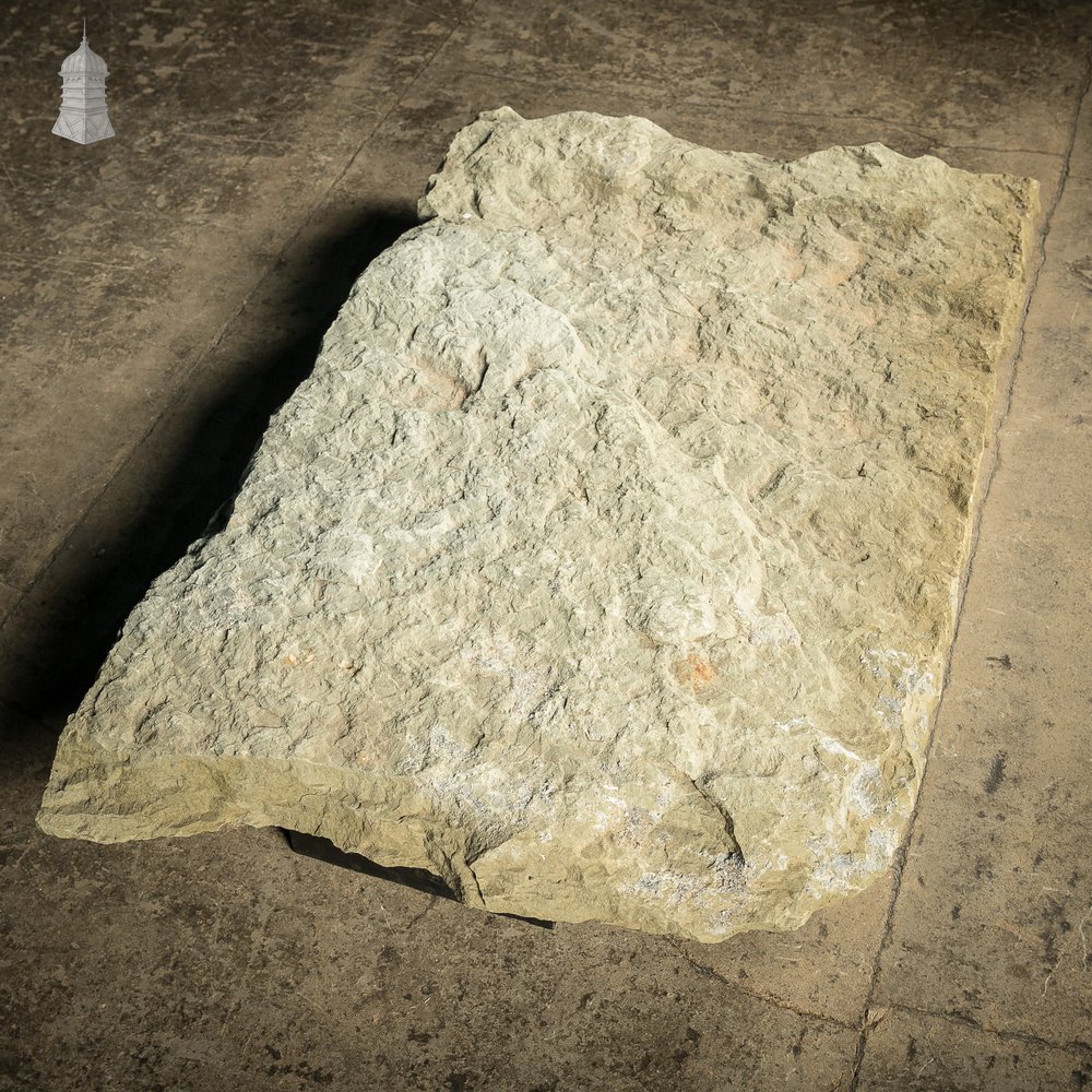 Riven Flagstone 1.2M x 70cm