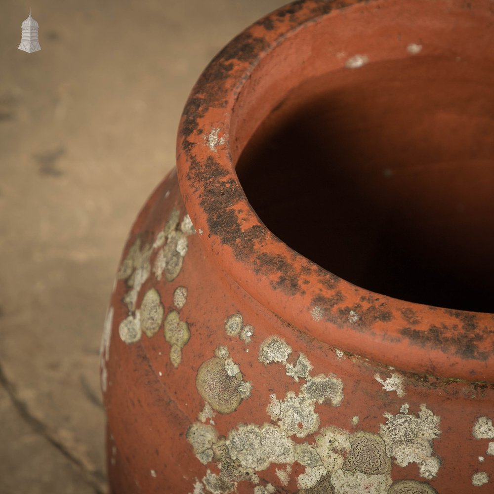 Terra Cotta Planter, Pair