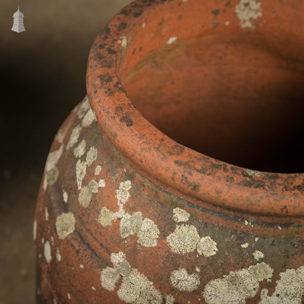 Terra Cotta Planter, Pair