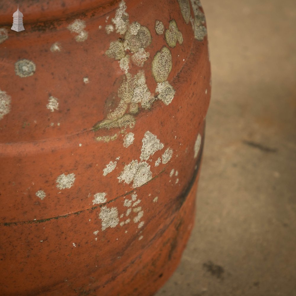 Terra Cotta Planter, Pair