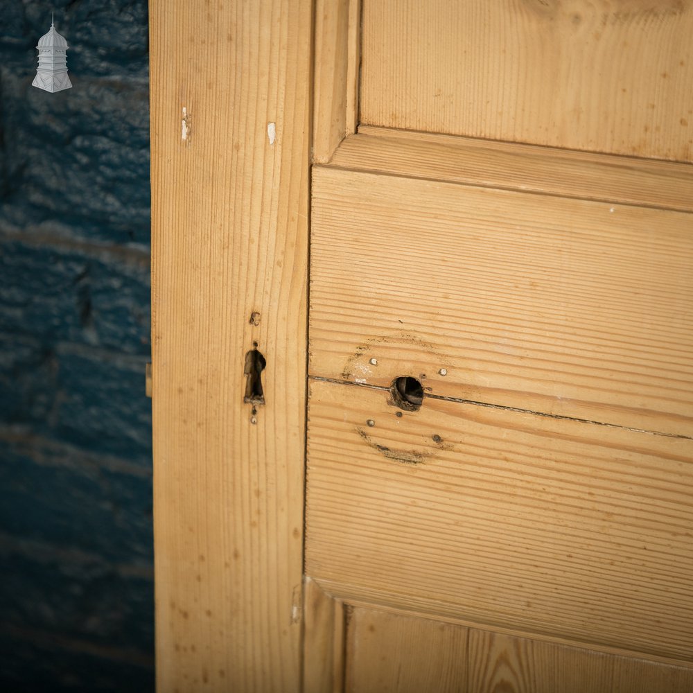 Paneled Pine Doors, Pair, 9 Panel