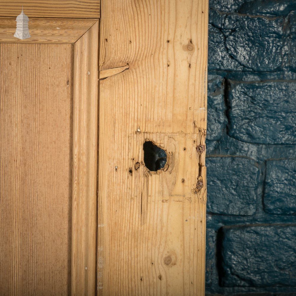 Paneled Pine Door, 5 Panel