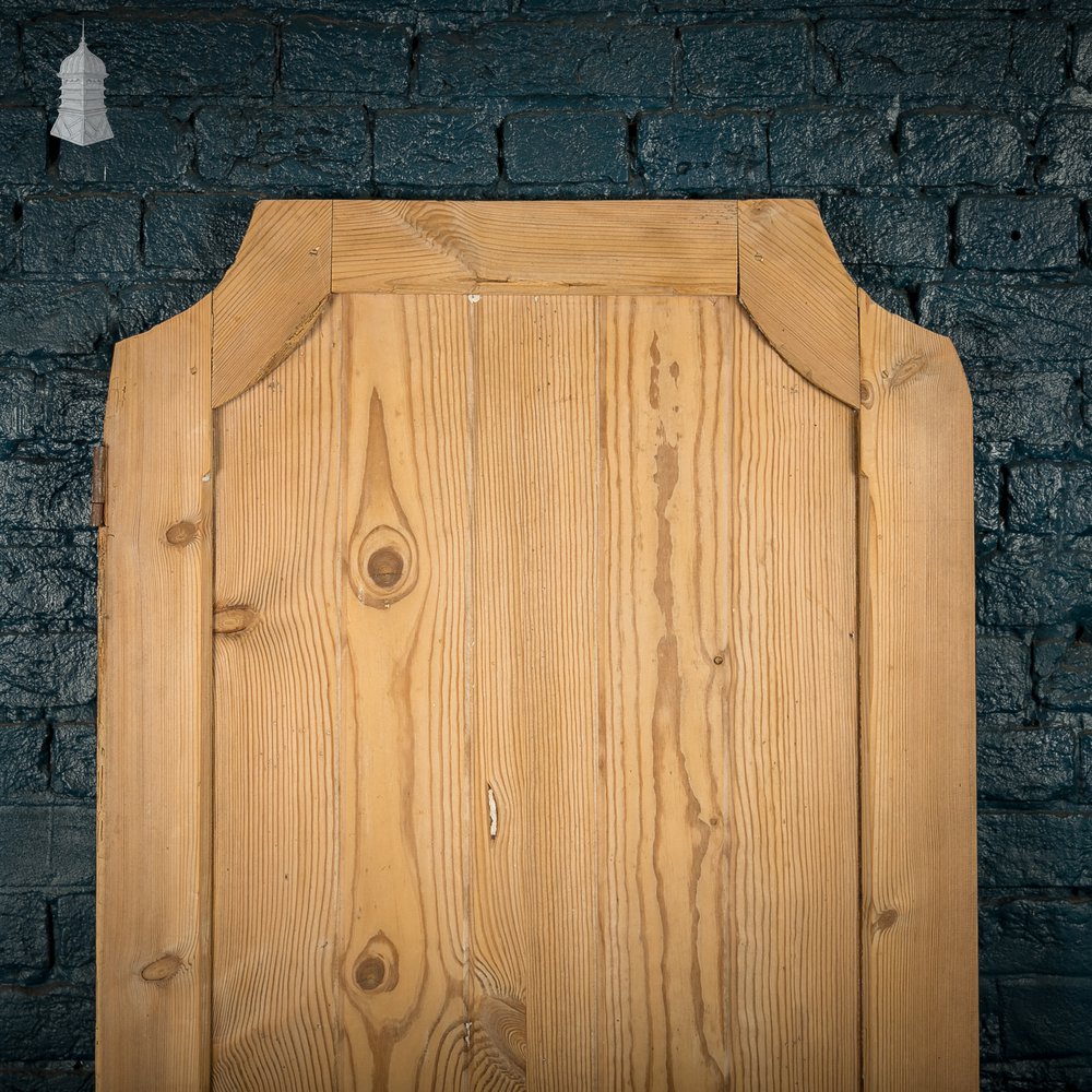 Pine Paneled Door, 2 Panel Door with Mouled Corners