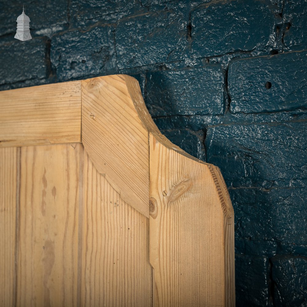 Pine Paneled Door, 2 Panel Door with Mouled Corners