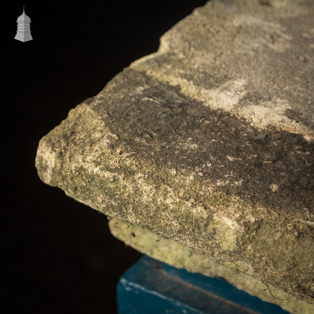 Once-weathered Stone Coping - A Run of 17 Metres