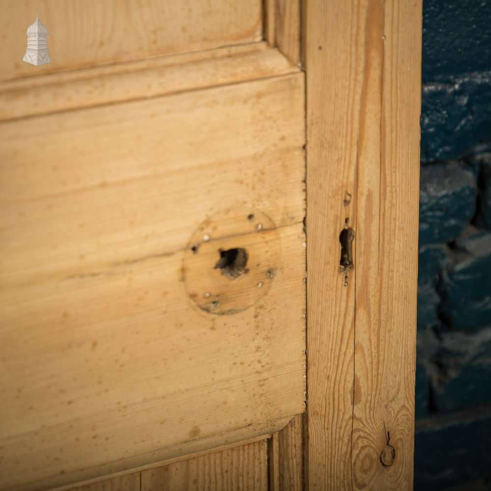 Paneled Pine Doors, Pair of 9 Panel Doors