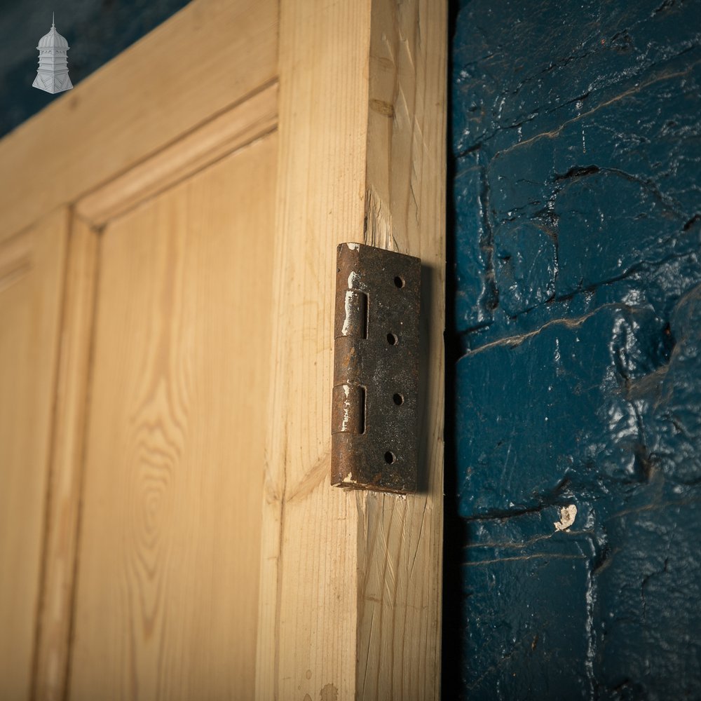 Paneled Pine Doors, Pair of 9 Panel Doors