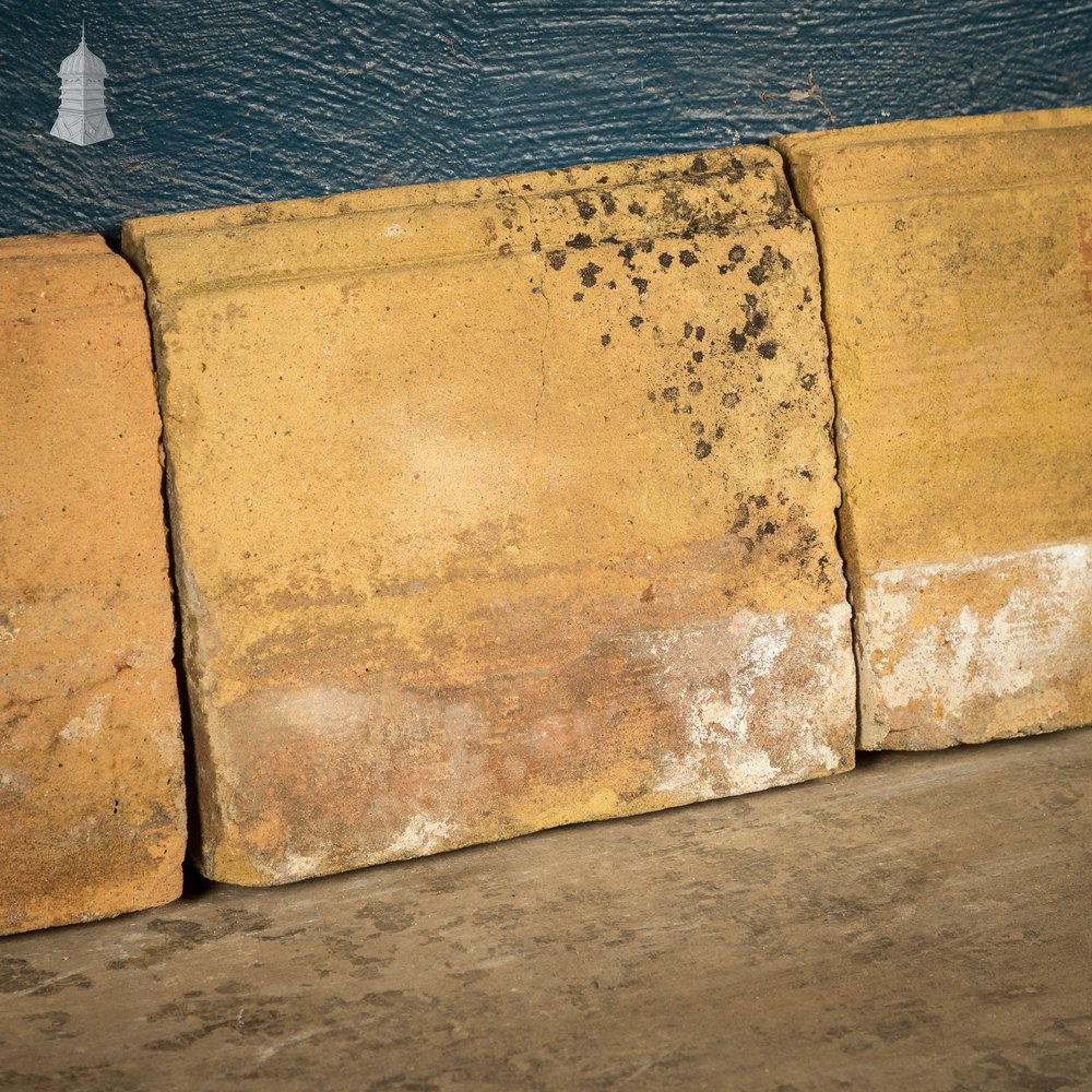 Buff Garden Edging - A Run of 3.5M