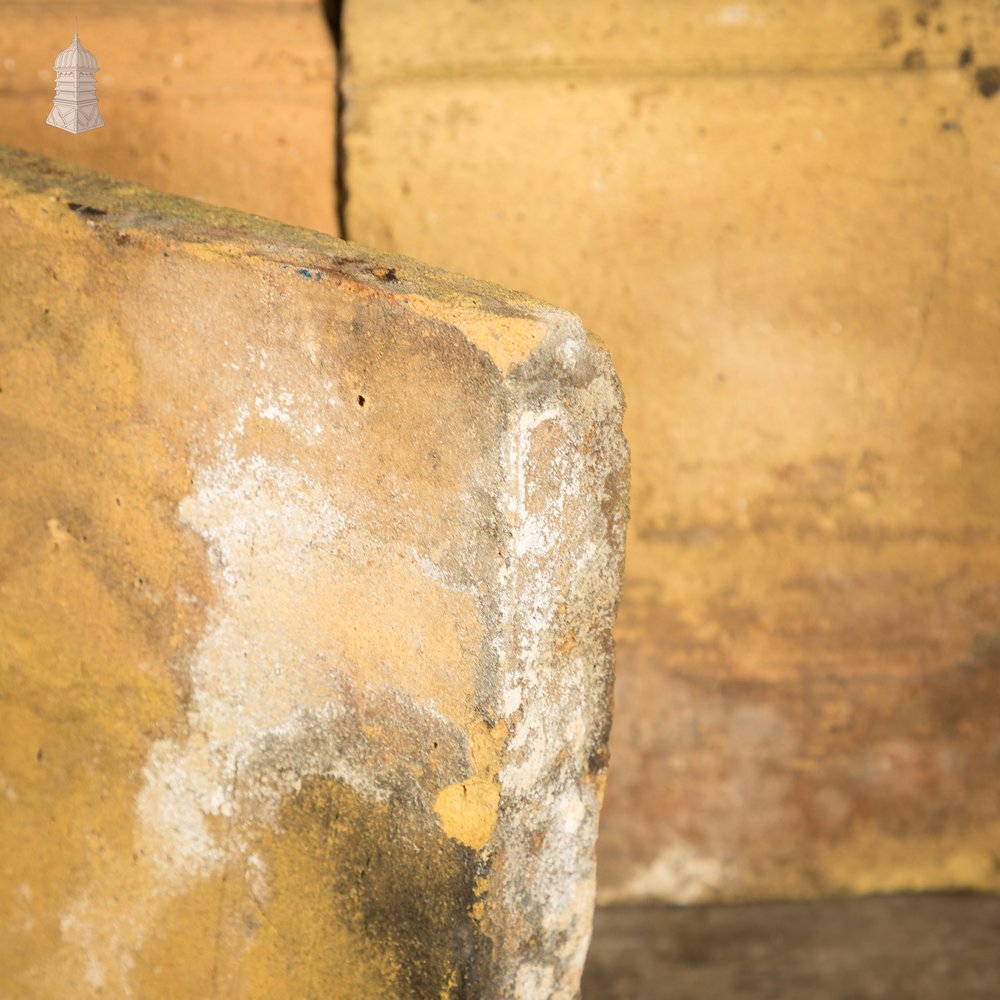 Buff Garden Edging - A Run of 3.5M