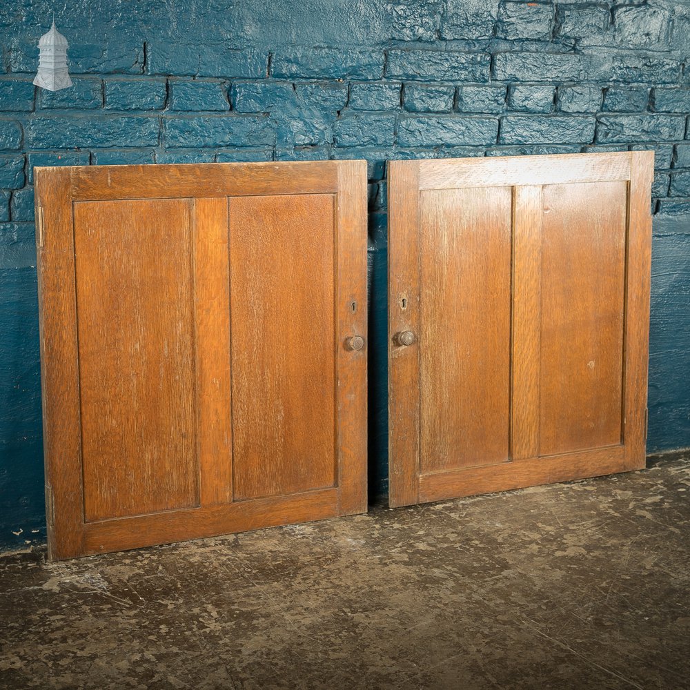 Pair of Small Oak Victorian Cupboard Doors