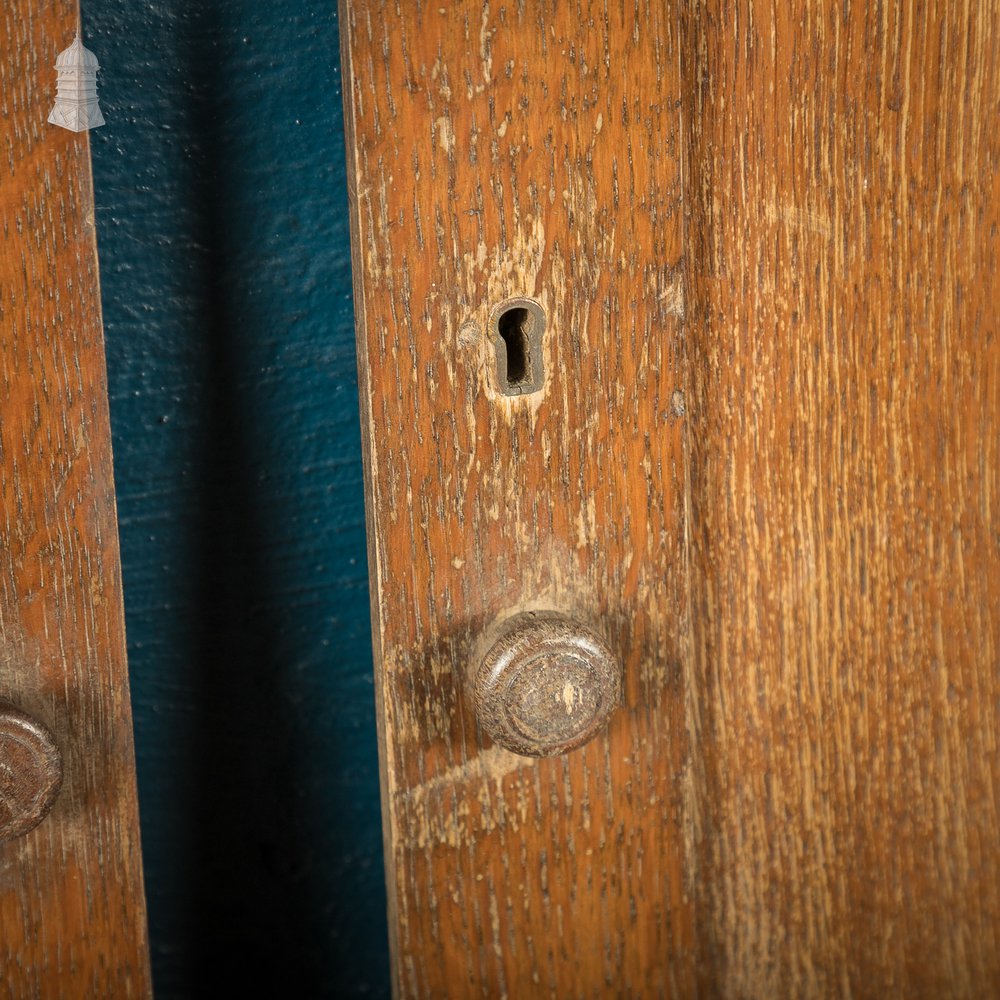 Pair of Small Oak Victorian Cupboard Doors