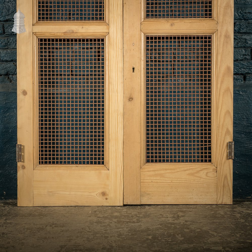 Mesh Cupboard Doors, Pair of 19th C Pine and Metal 2 Panel Doors