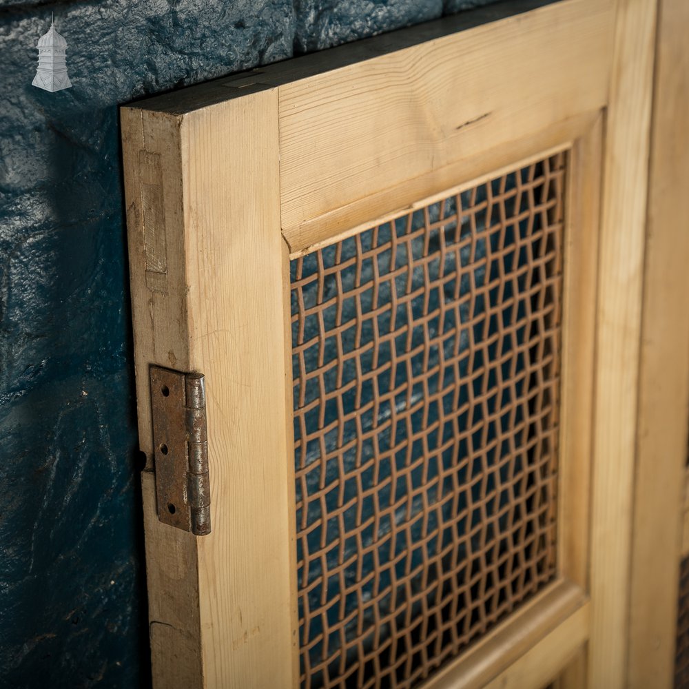 Mesh Cupboard Doors, Pair of 19th C Pine and Metal 2 Panel Doors