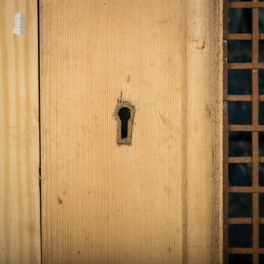 Mesh Cupboard Doors, Pair of 19th C Pine and Metal 2 Panel Doors