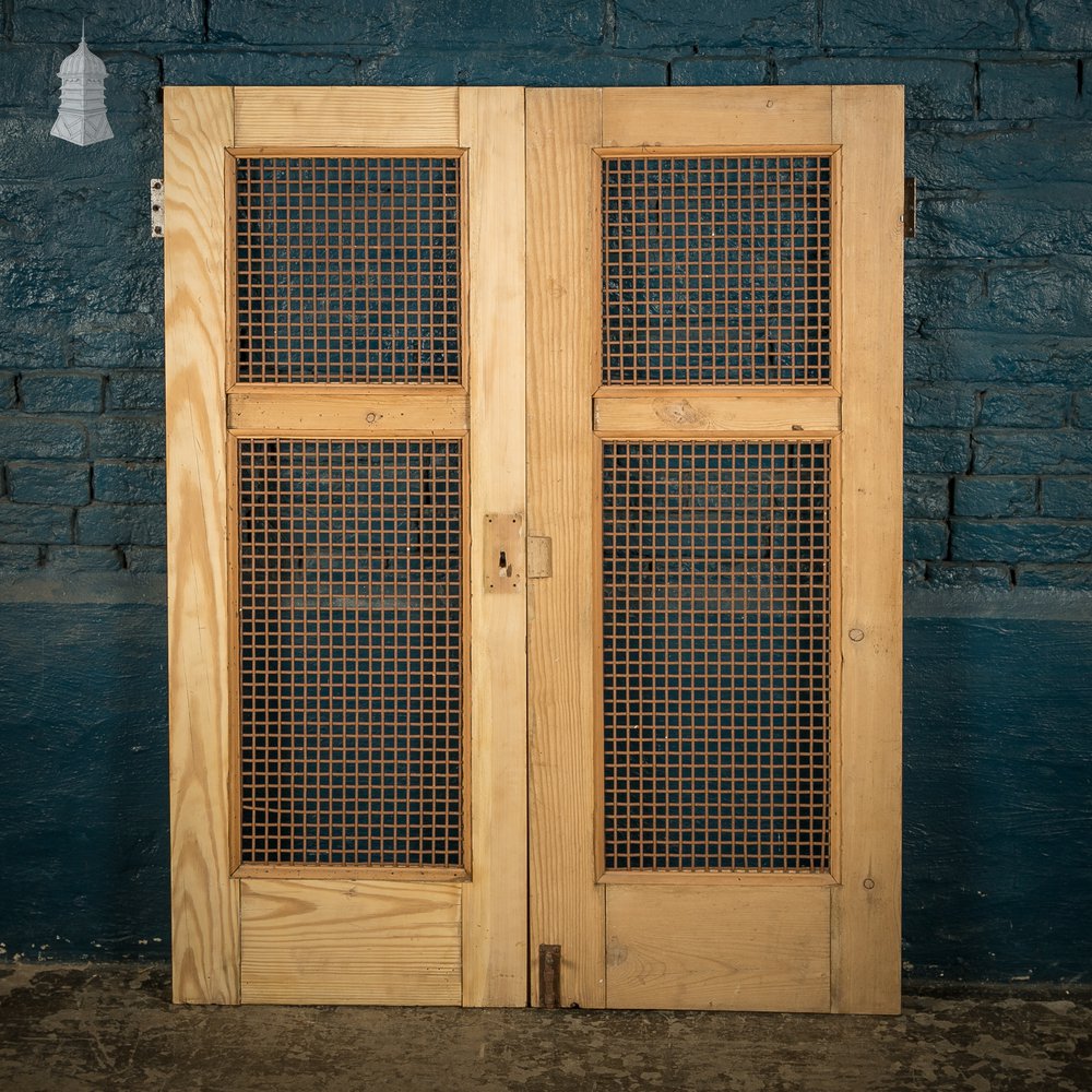 Mesh Cupboard Doors, Pair of 19th C Pine and Metal 2 Panel Doors