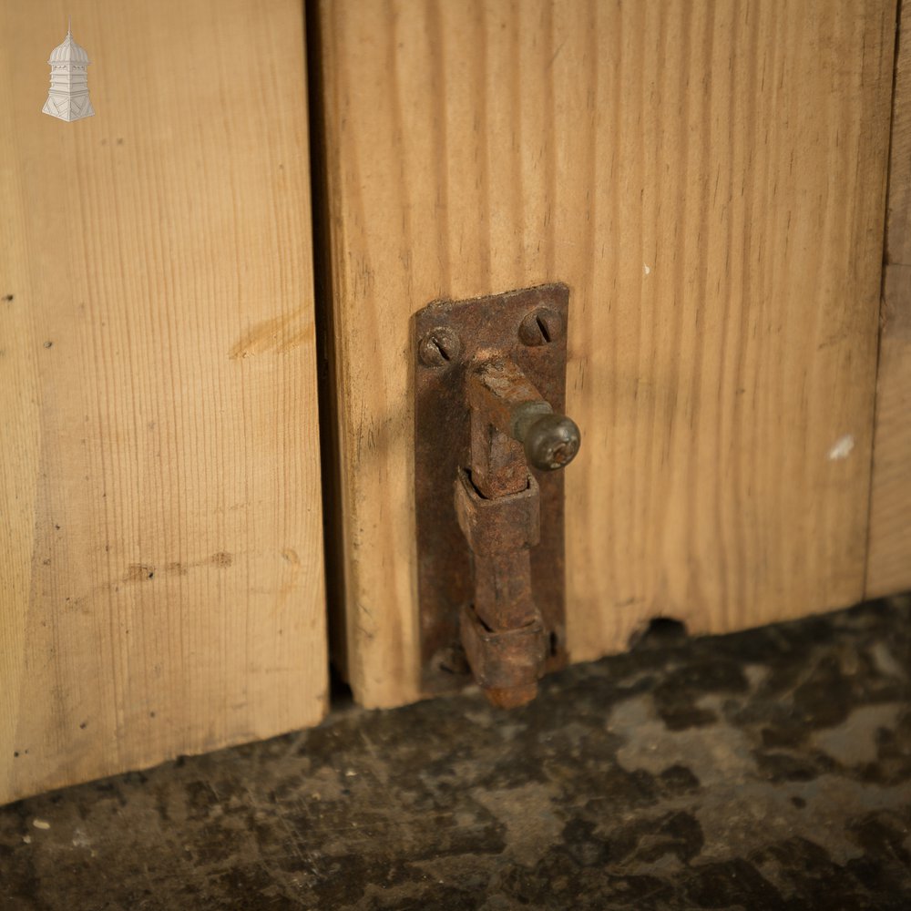 Mesh Cupboard Doors, Pair of 19th C Pine and Metal 2 Panel Doors