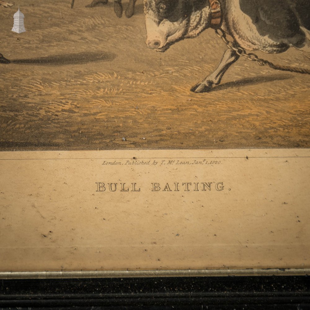 Bull Baiting Etchings, Pair of Colored Etchings