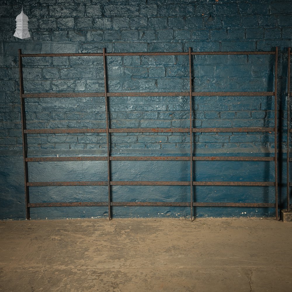 Estate Railings and Gate Set, Reclaimed Wrought Iron Fencing Panels