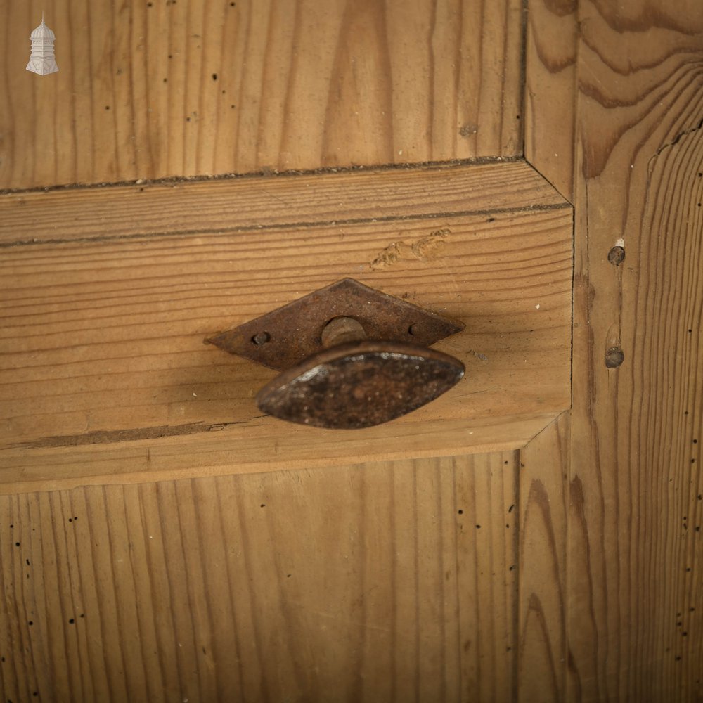 Victorian Paneled Door, Pine 2 Panel