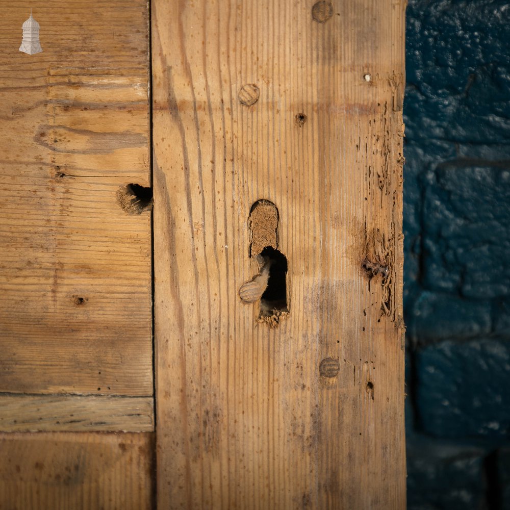 Victorian Paneled Door, 2 Panel