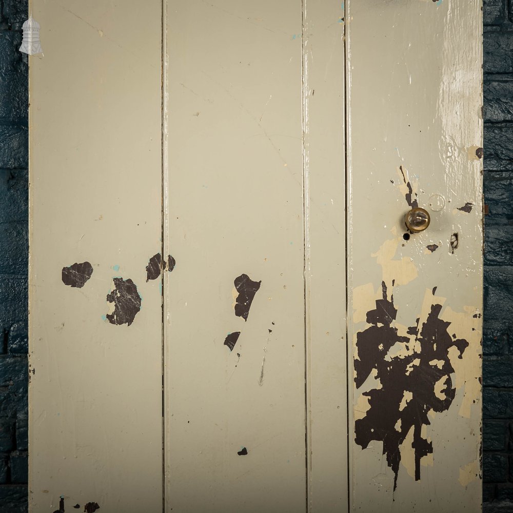 Plank Ledged Doors, Pair of Painted Pine 18th C Georgian Cottage Doors