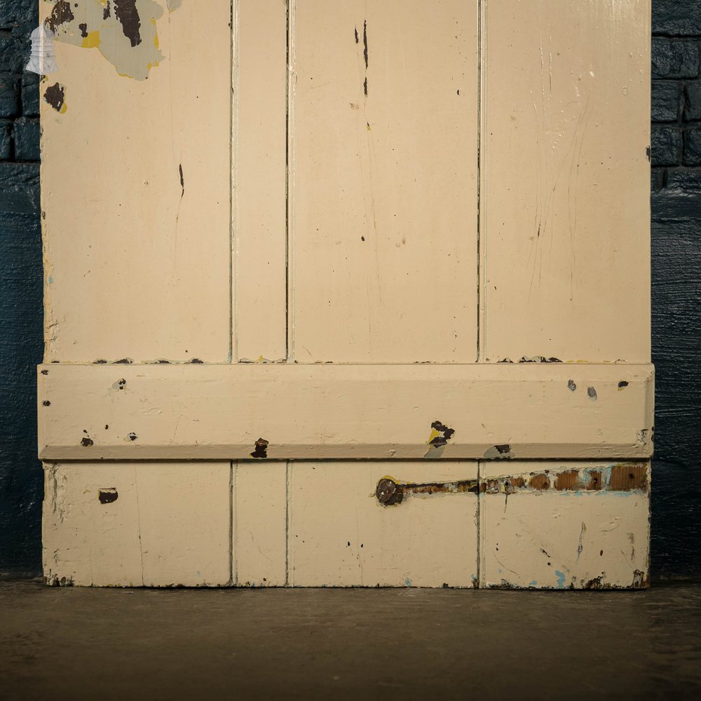 Plank Ledged Doors, Pair of Painted Pine 18th C Georgian Cottage Doors