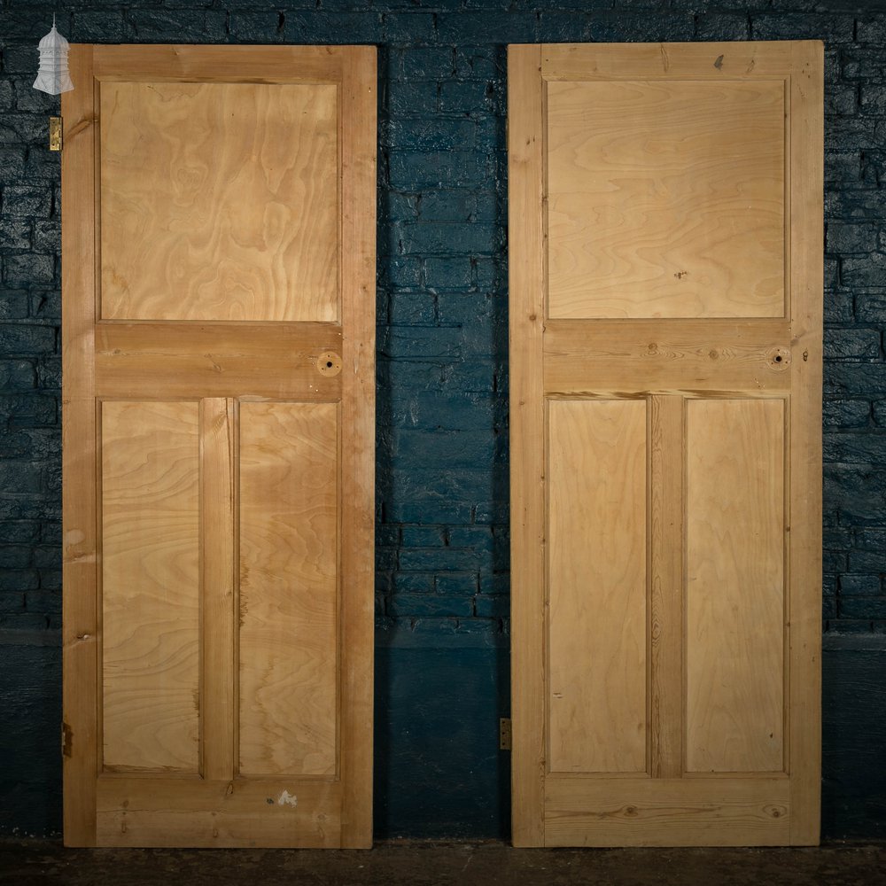 Pine Paneled Door, Moulded 3 Panel Set of 2