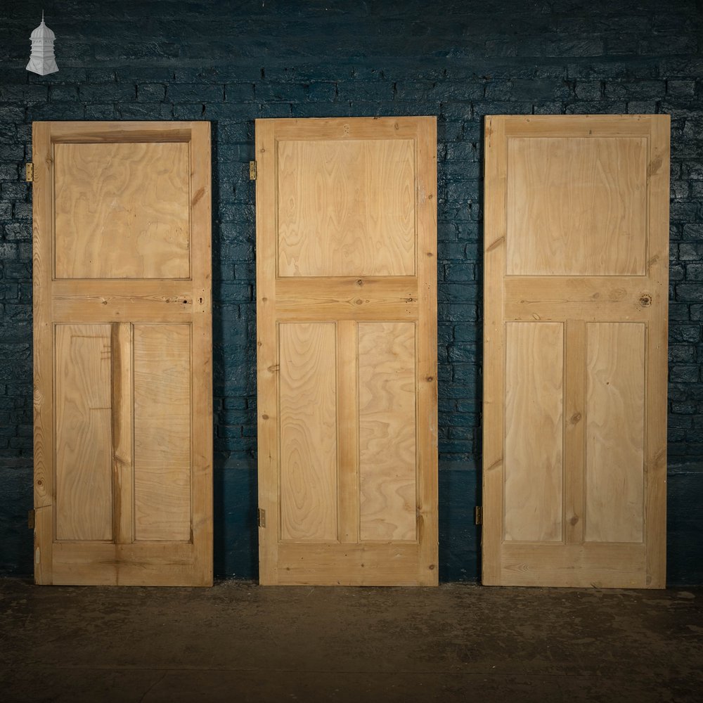 Pine Paneled Door, Moulded 3 Panel Set of 3