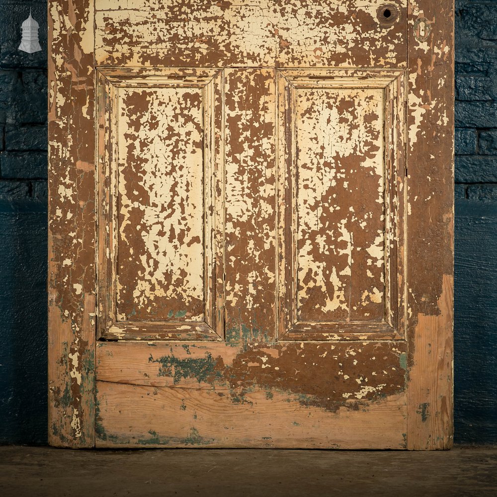 Pine Paneled Door, 4 Moulded Panel Distressed Paint