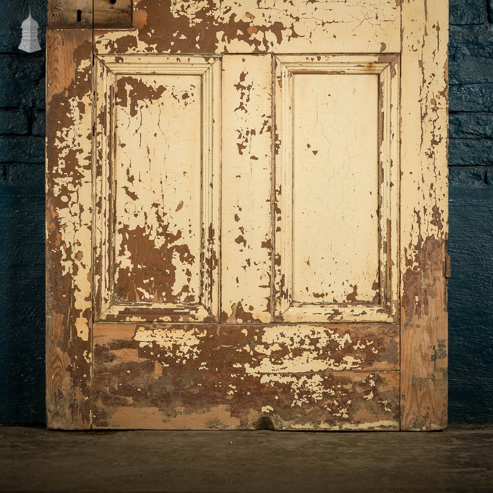 Pine Paneled Door, 4 Moulded Panel Distressed Paint