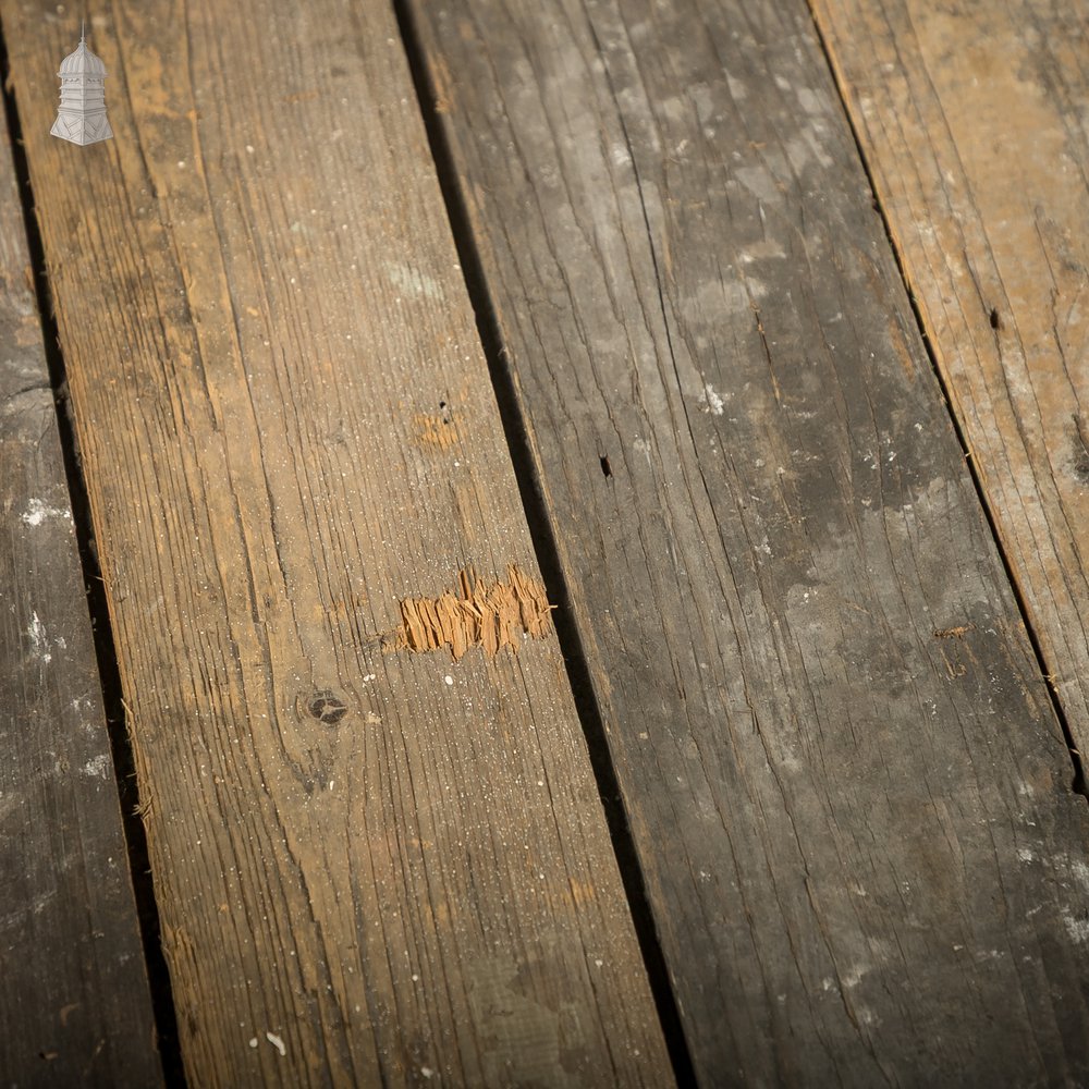 Pine Tongue and Groove Boards, 31 Square Metres of Reclaimed Cladding or Floorboard