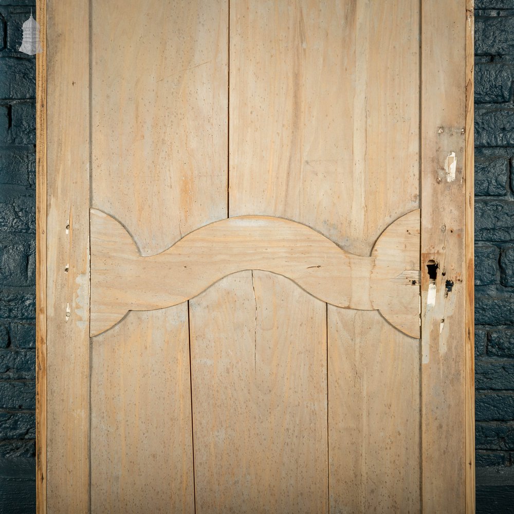 Pine Panelled Door, 19th C French, 2 Moulded Panels