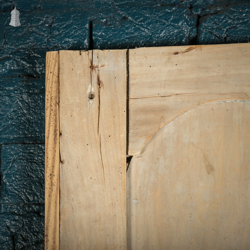 Pine Panelled Door, 19th C French, 2 Moulded Panels