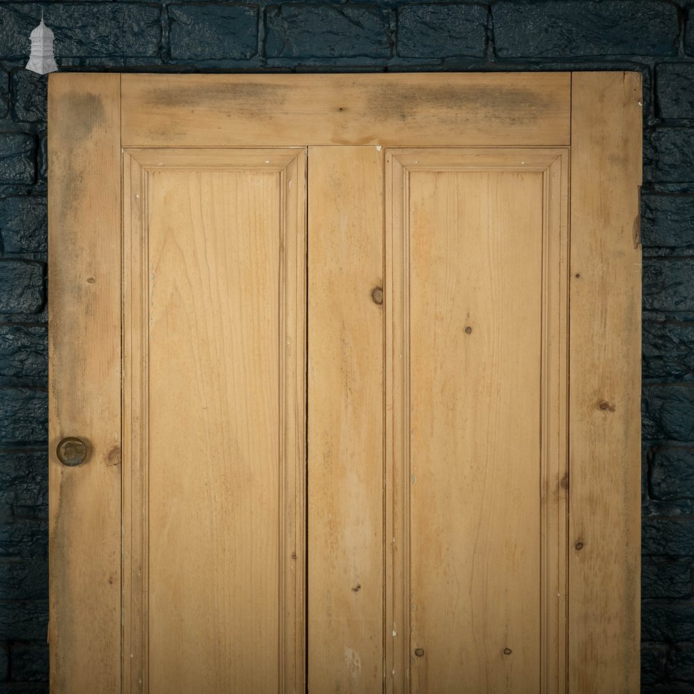 Pine Panelled Door, Victorian 2 Panel Cupboard Door