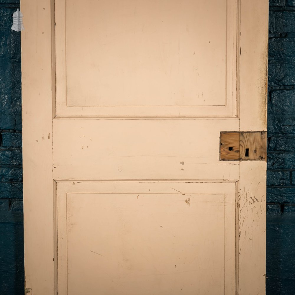 Pine Panelled Door, 2 Panel Cupboard Door