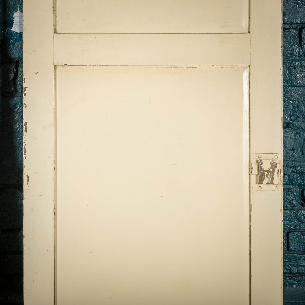 Pine Panelled Doors, Pair of 19th C 2 Panel White Painted Cupboard Doors