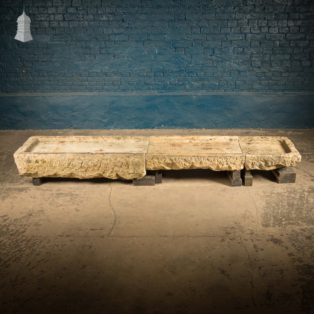 Long Shallow Stone Trough