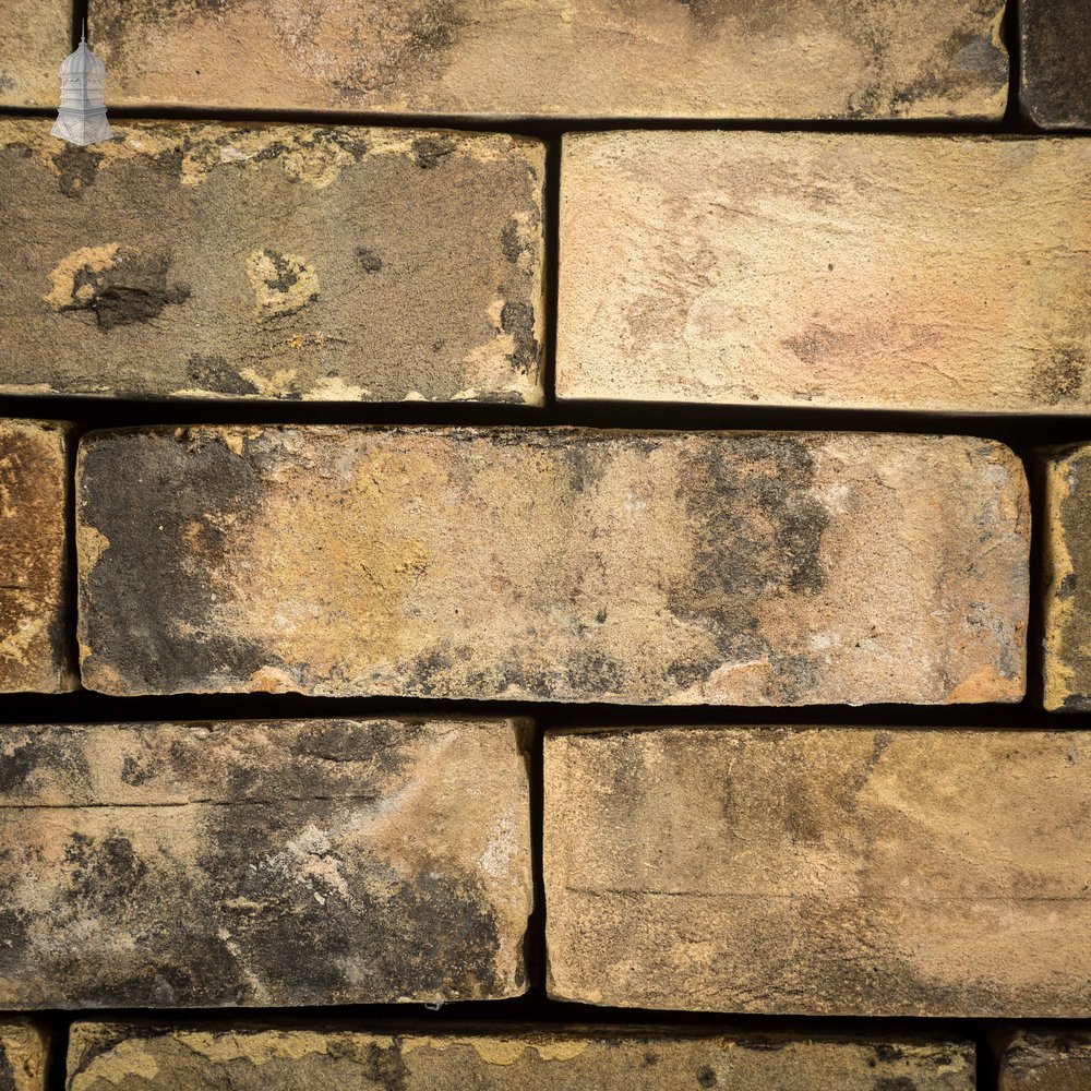 2.5" Buff Brick, Reclaimed, Batch of 526