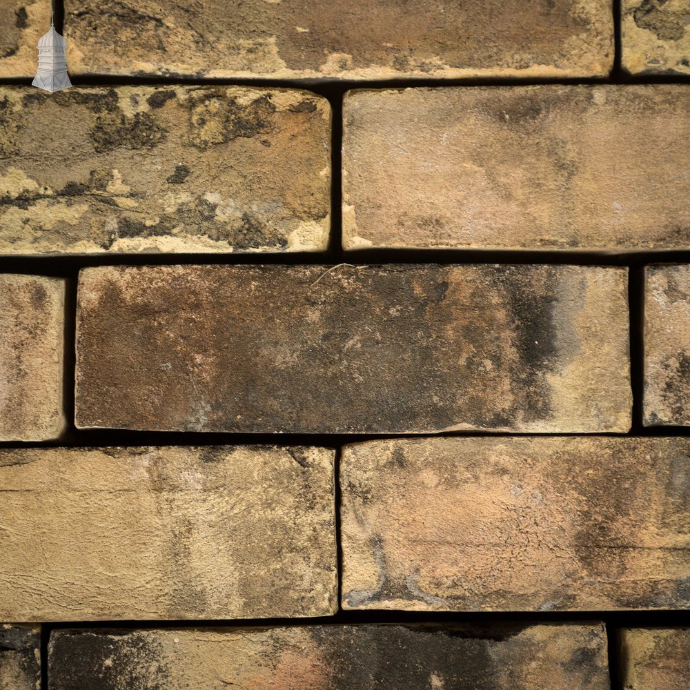 2.5" Buff Brick, Reclaimed, Batch of 526