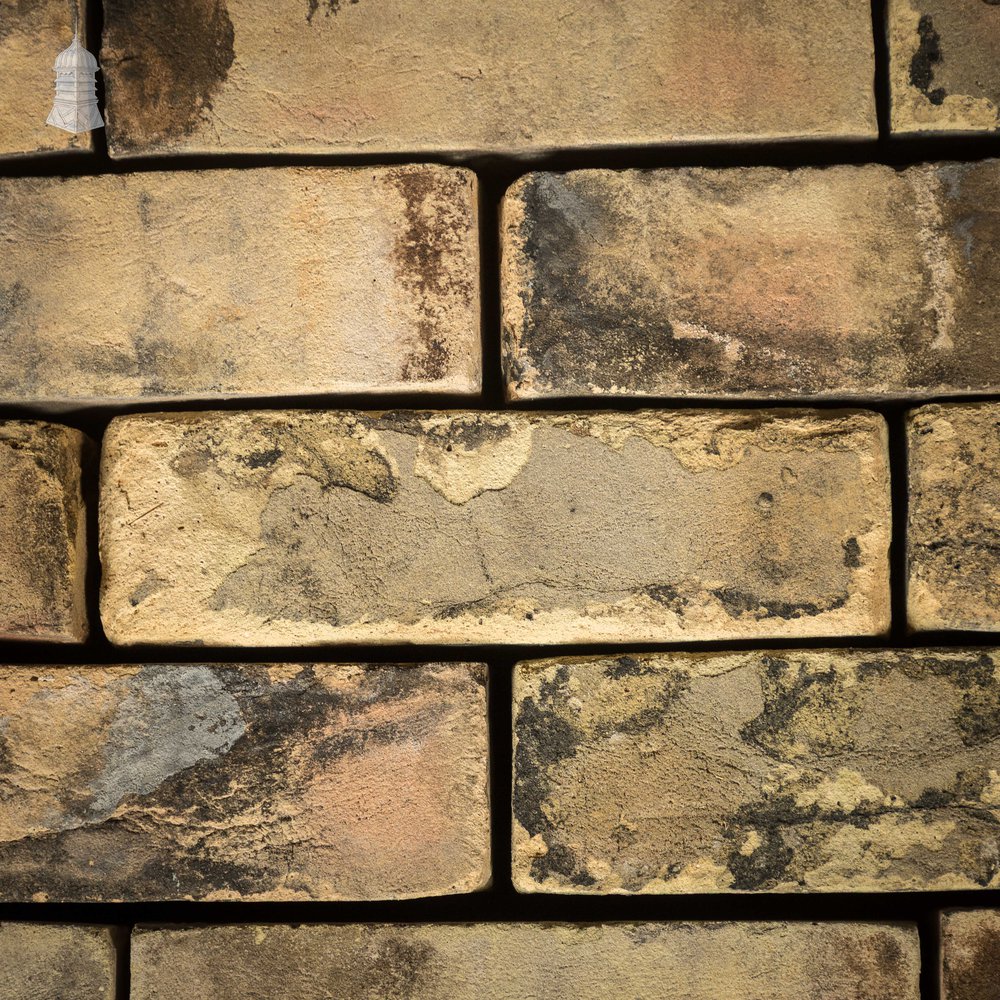 2.5" Buff Brick, Reclaimed, Batch of 526