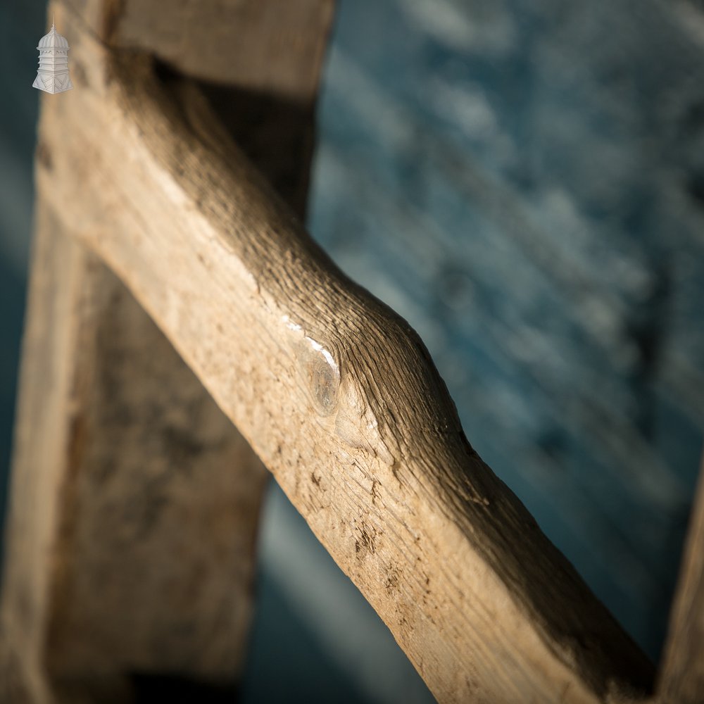 Rustic Pine Ladder