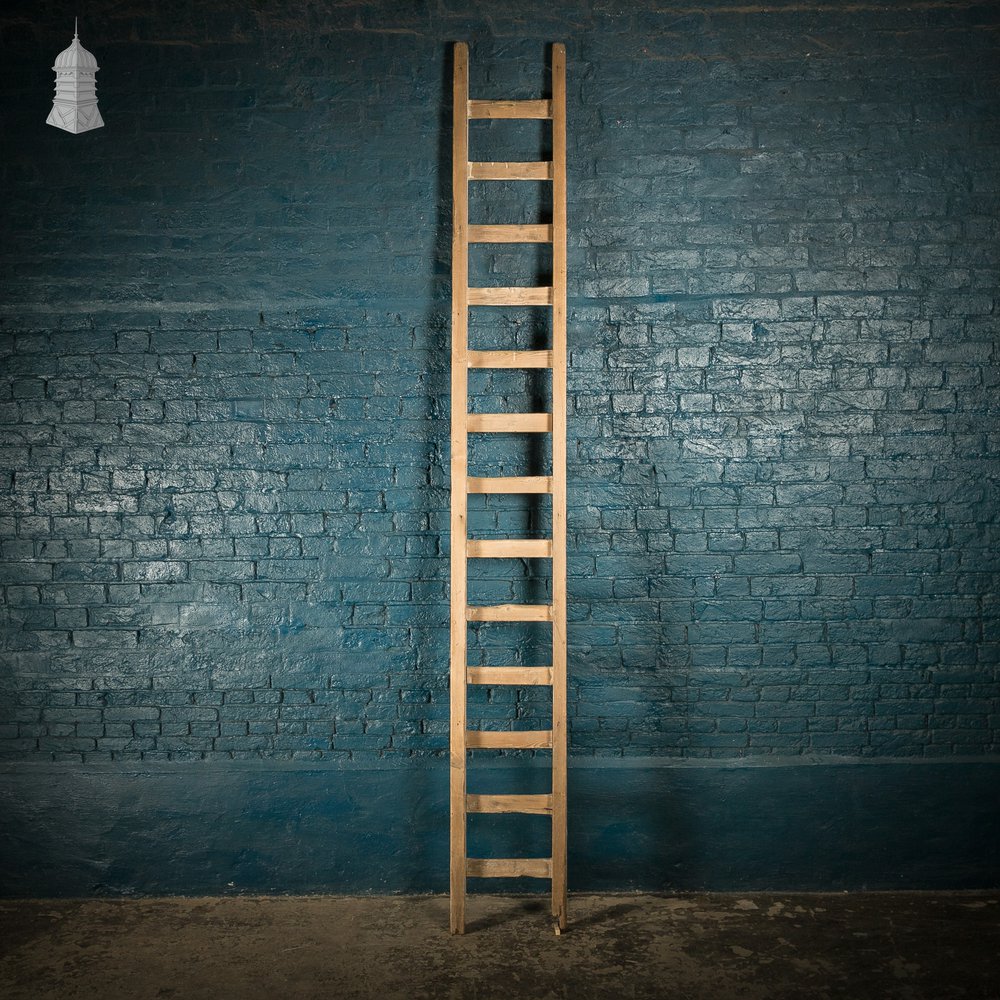 Rustic Pine Ladder