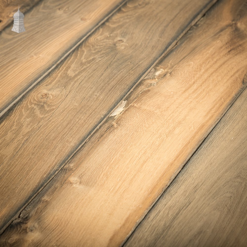 Bog Oak Boards, Cut from Reclaimed Riverbank Pilings