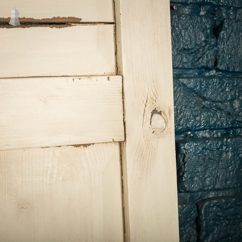 Paneled Double Doors, 6 Panel White Painted Pine