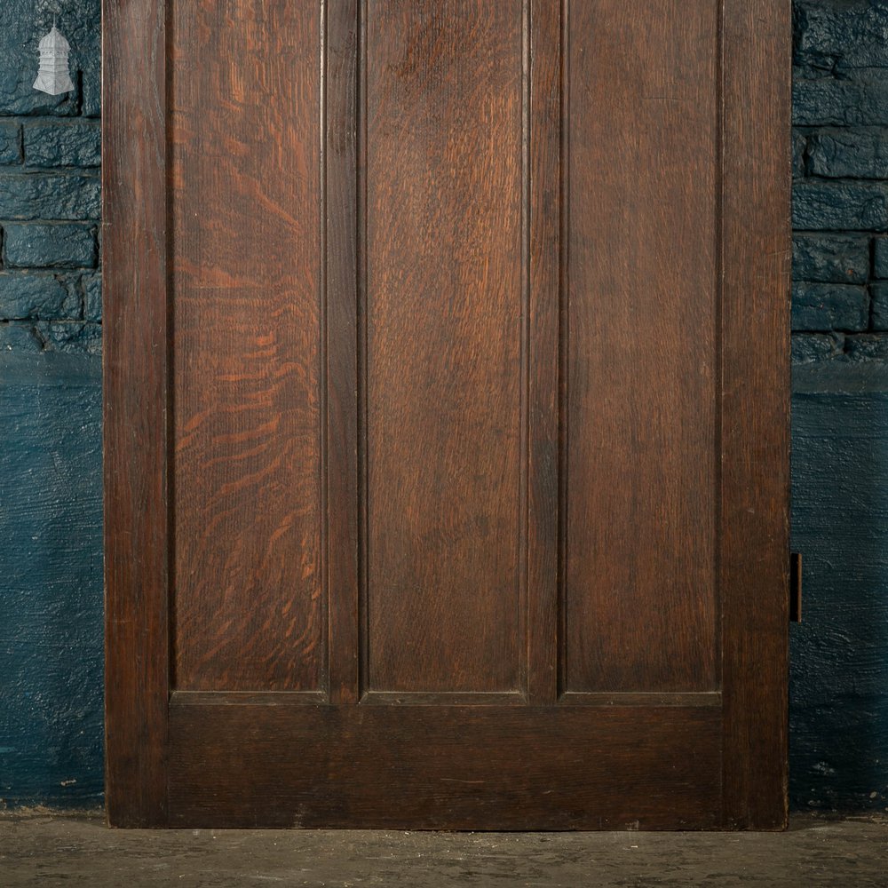 Oak Paneled Door, 5 Panel with Brass Hardware Missing Glazing