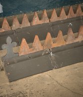 IMG_7943.jpg