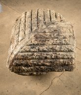 IMG_7989.jpg
